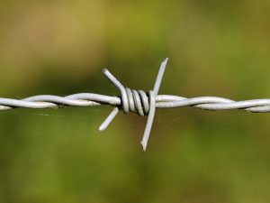 detail barbed wire