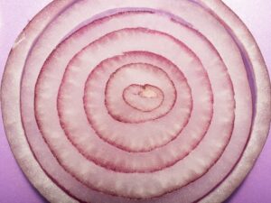 Red onion rings, close up of sliced red onion